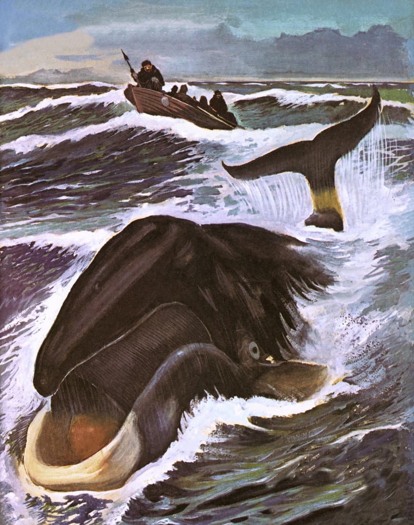 Chasse à la baleine English School Estampe d'art